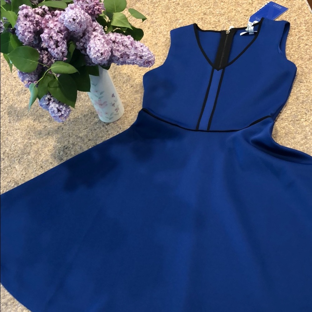 NWT REED XS Blue and Black Scuba Fit & Flare Dress